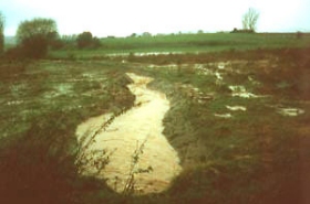 Die angrenzenden Wiesen bilden Rückhalteflächen für hohe Niederschlagsmengen und vermeiden (mit weiteren Flächen) Überschwemmungen in Varlosen.