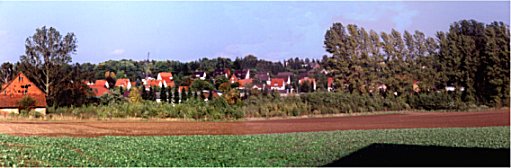 Ein Hektar Land wurde 1996 aufgeforstet. Diese Aufnahme entstand im Herbst 2001. In einigen Jahren wird das "Auewäldchen" die Ortschaft Imbsen wohl hinter sich versteckt haben. Der Lauf der Nieme ist hier nur zu erahnen (Pappelreihe). 