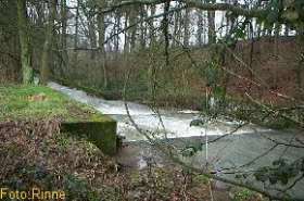 Vorher