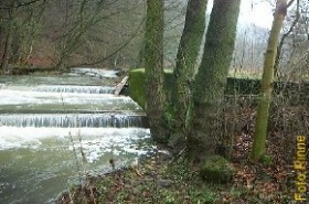 Vorher