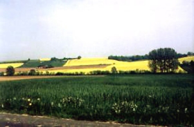 Ni_oberl_rapshecke