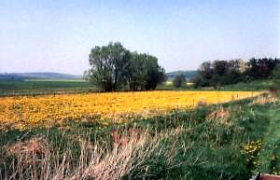 Gleiche Fläche, anderer Blickwinkel