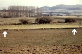 Der Bachlauf ist im Bild durch die Pfeile gekennzeichnet.