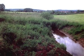 Frühsommer 2003