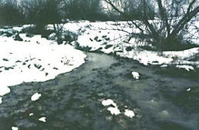 Das nährstoffreiche Wasser wird in der Fläche gefiltert.