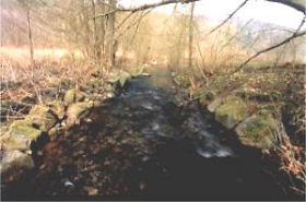 Begradigt und mit Wasserbausteinen verlief hier die Nieme, bis im Frühwinter 2002 der Unterhaltungsverband Münden den Altarm wieder reaktivierte.