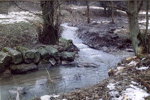 Aus der Bildmitte kommt der neue (alte) Bachlauf auf die Nieme zu. Gut im Hintergrund ist auch der zugehörige alte Prallhang zu erkennen. Im Vordergrund rechts, versteckt hinter dem Baum erkennt man den überflüssig gewordenen, begradigten Bachabschnitt. 