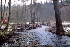 Die Wasserbausteine (Bildmitte) verschließen den begradigten Bachlauf (s. Bild oben). Das Wasser findet den Weg zum naturnahen, wieder angebundenen Altarm. 