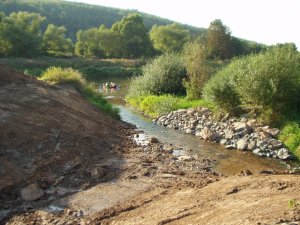  	...ehe das Niemewasser von der Weser aufgenommen wird.