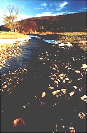 Der Mündungsbereich der Nieme in die Weser. Kies und Steine (Geschiebe) liegen bereits im Bett der Weser. 