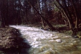 Bildmitte ist die Mühlgrabenableitung nach rechts erkennbar, die nach wie vor den Teich des Klostergutes speist.