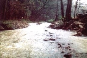 Aus (fast) Fischperspektive: Für Fische und auch für Wirbellose ein leichtes, diesen Bereich flussaufwärts zu wandern.