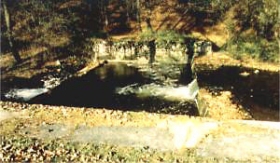  Unverhofft, mitten in einem intakten Bachabschnitt wurde ein Querverbau zur Wasserableitung für einen Teich errichtet.
