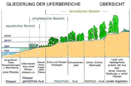 Über den Uferbereich